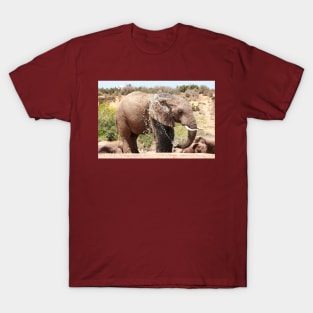 African Wildlife Photography Elephant Splashing T-Shirt